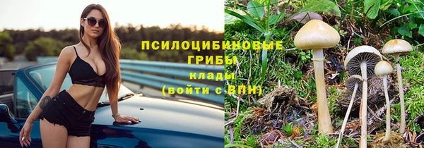 2c-b Алексин
