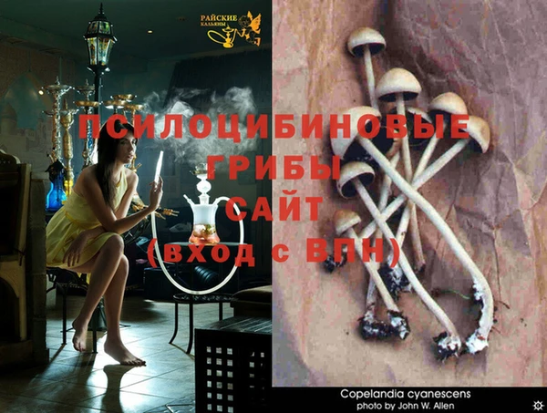 таблы Алексеевка